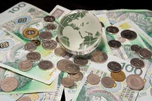 Schaeuble sprowadza na ziemię i osłabia złotego Schaeuble sprowadza na ziemię i osłabia złotego